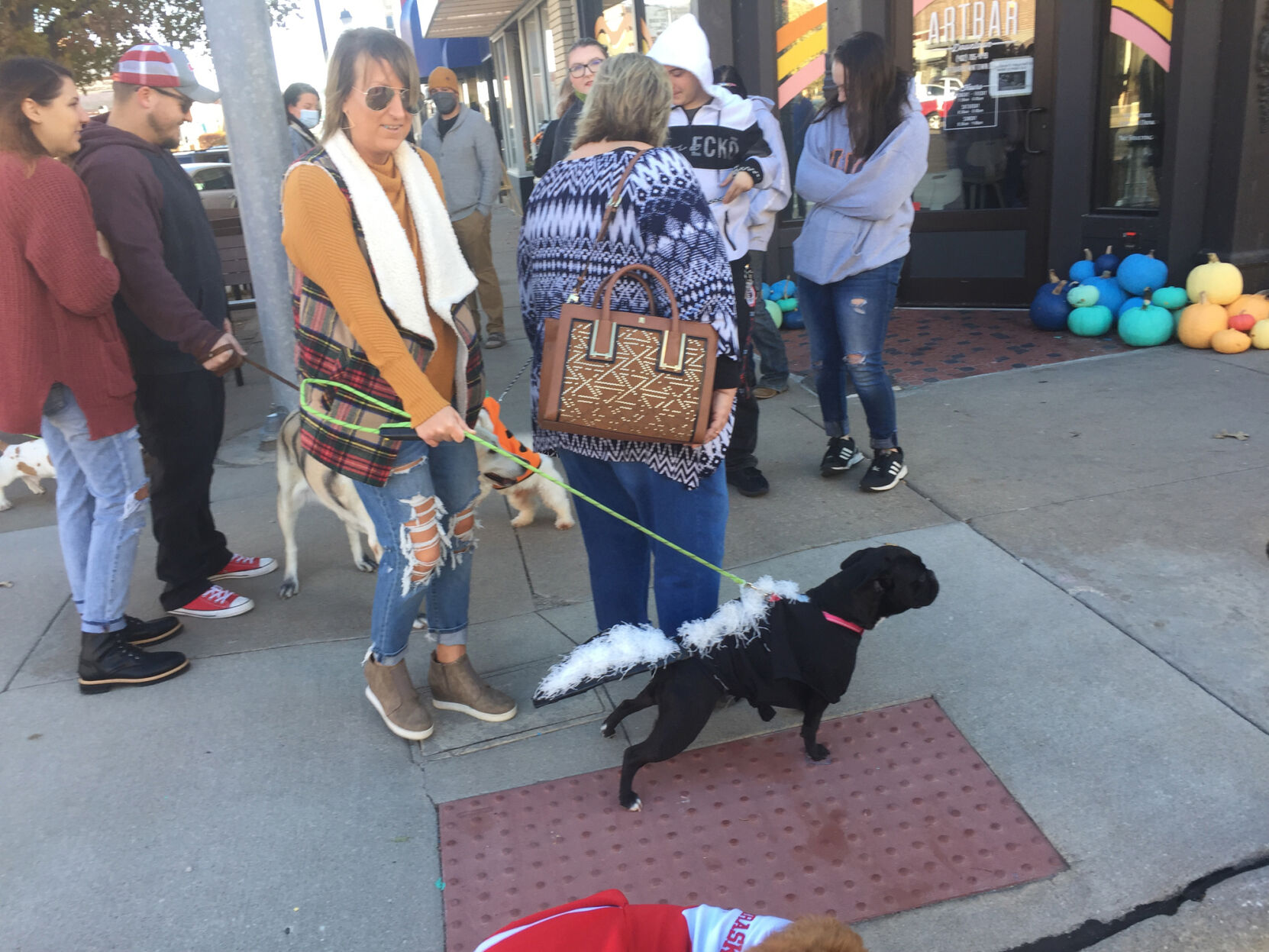 Dogs 8.JPG